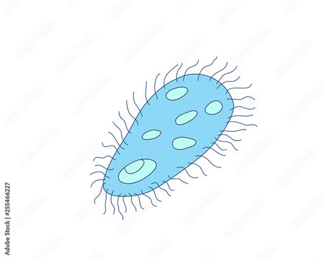 organism easy drawing|organism illustration.